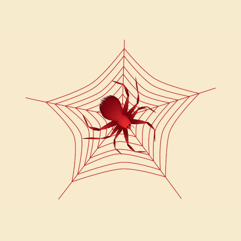 Spinne im Spinnennetz rote Spinne große Spinne