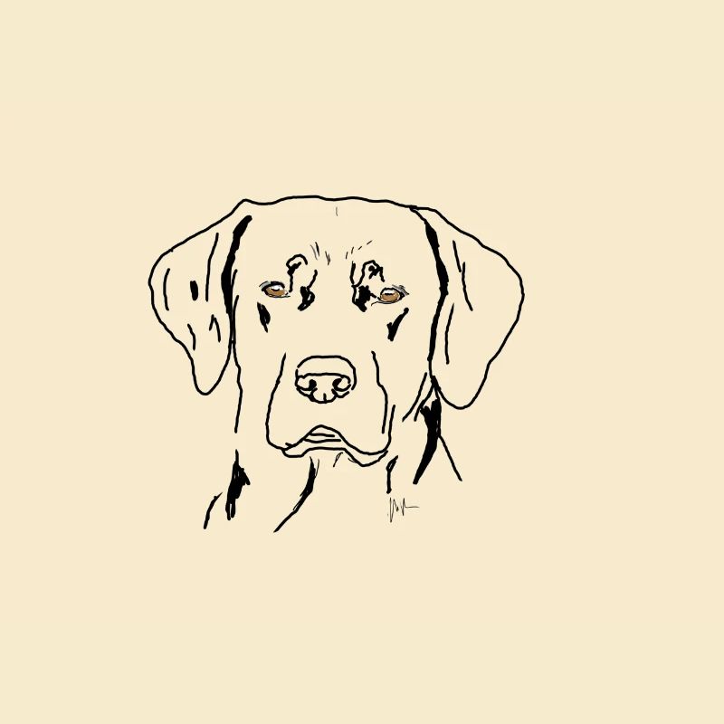 Labrador