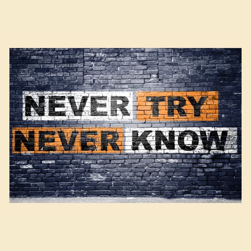 Never Try never know Ziegelsteinmauer Motivation