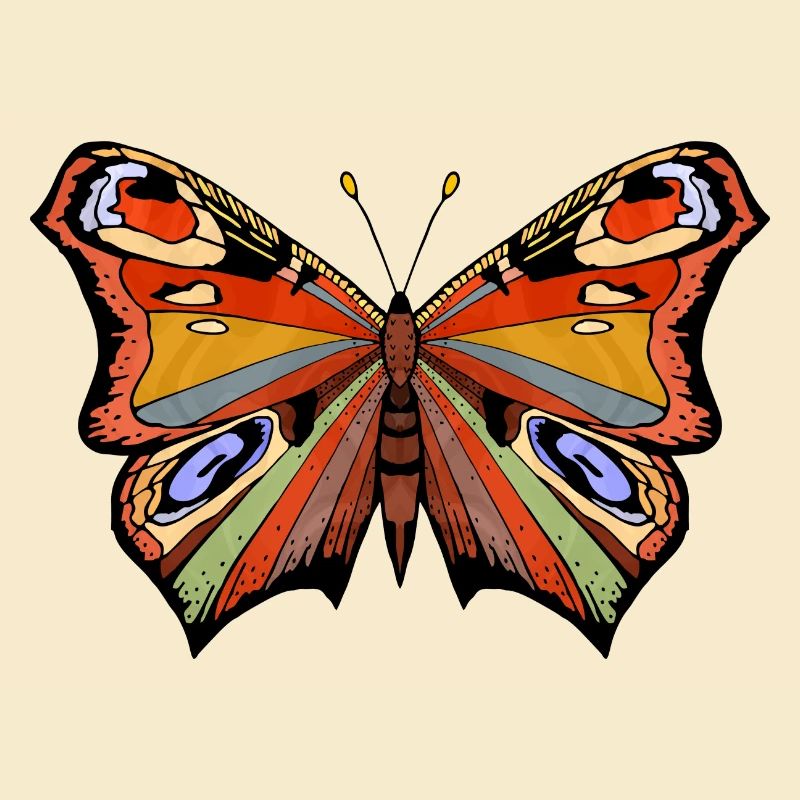 Papillon