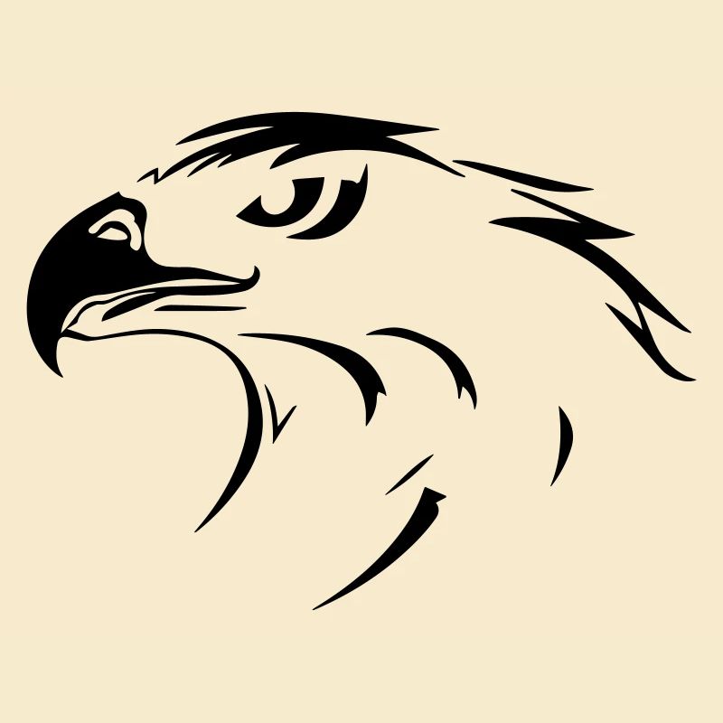 Eagle head in profile on one side