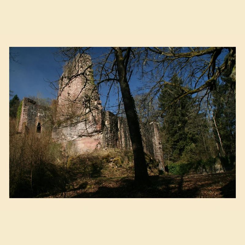 Mystical Waldeck Castle (Northern Black Forest)