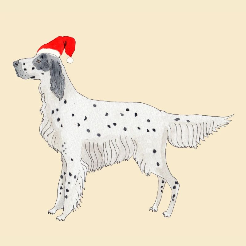 Setter anglais Fundogs Noël