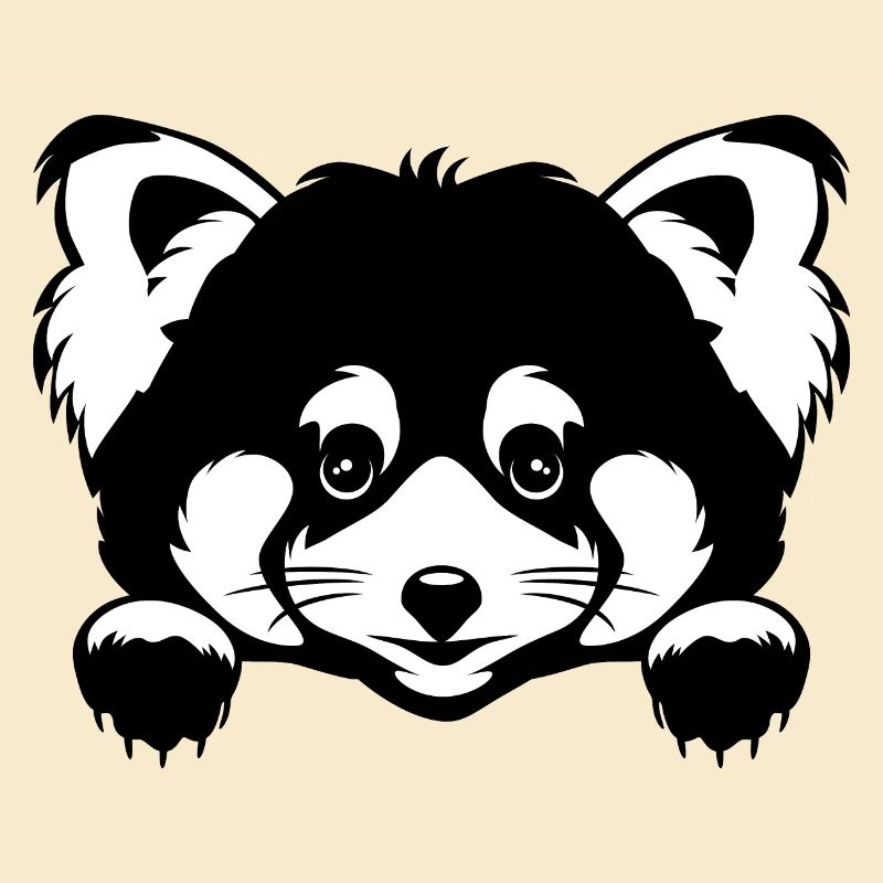 Coup d’œil mignon panda roux. Version noir et blanc