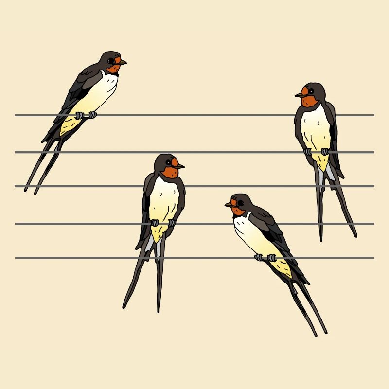 Oiseaux