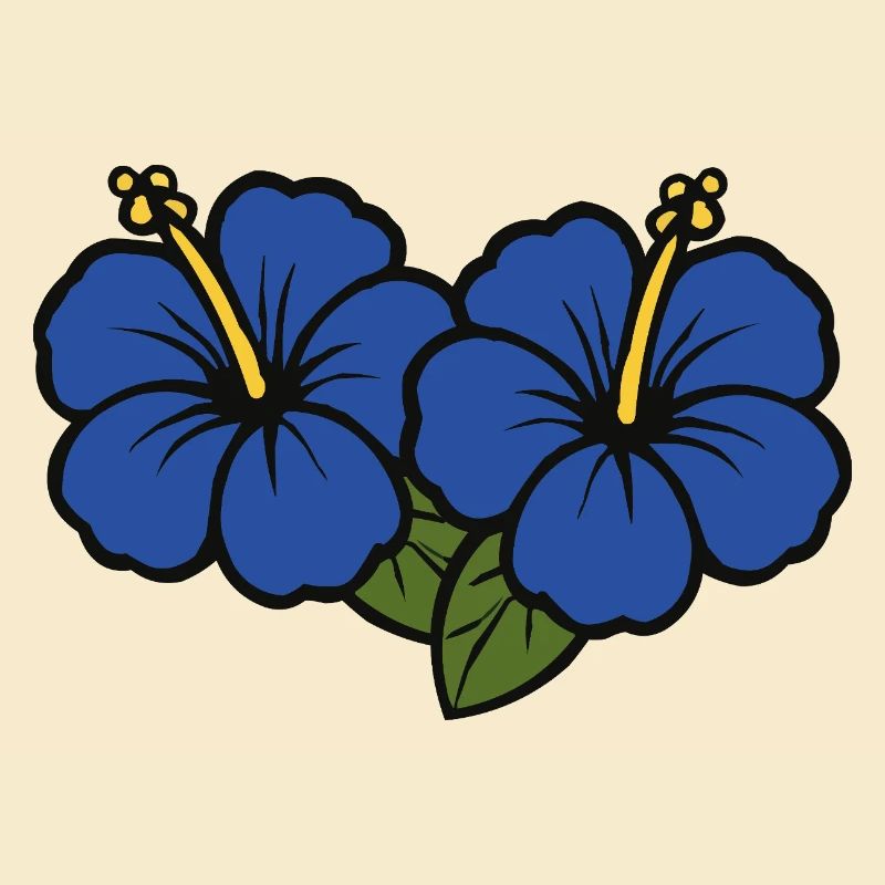 Fleurs d’hibiscus 2