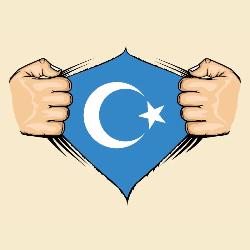 Conception du drapeau ouïghour