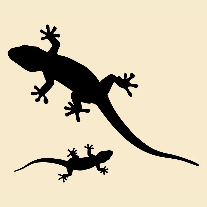 Geckos