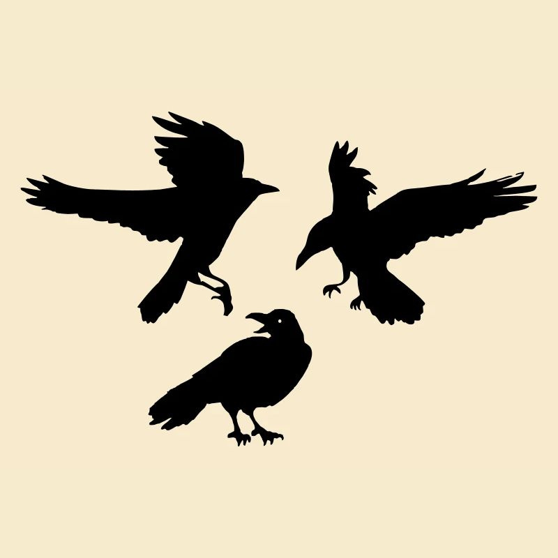 Three raven crows