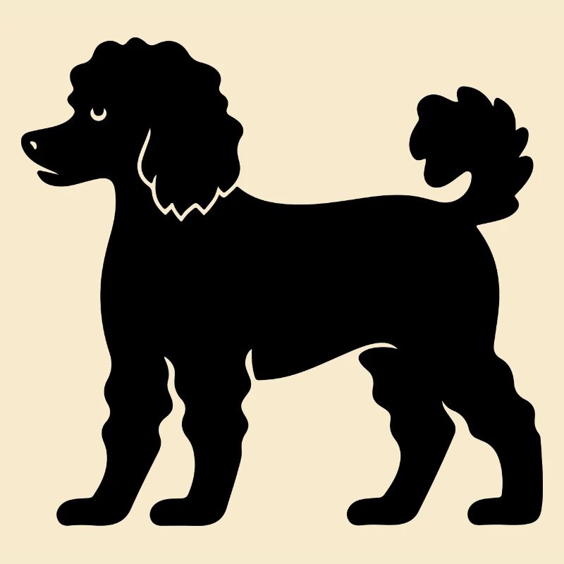 Caniche Chien