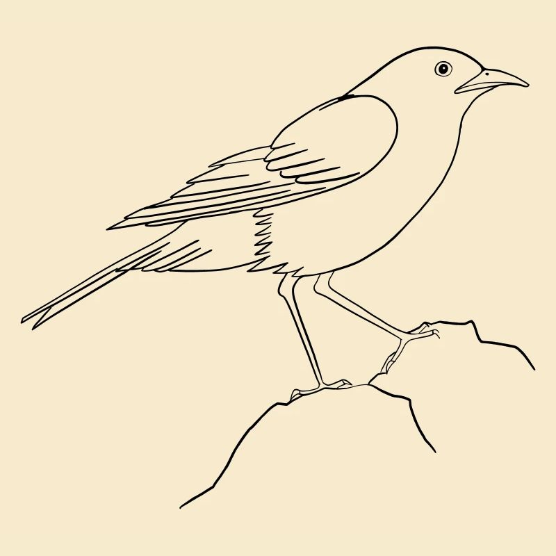 Jour de l’Oiseau
