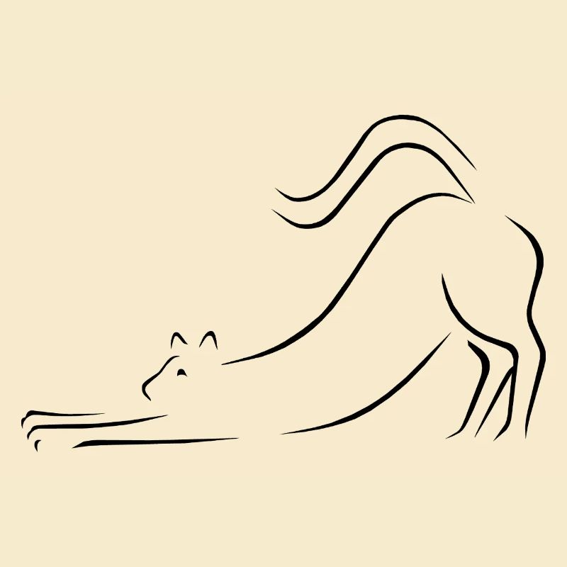 chat