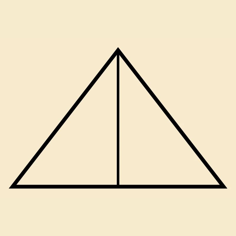 Plant-inspired geometric design