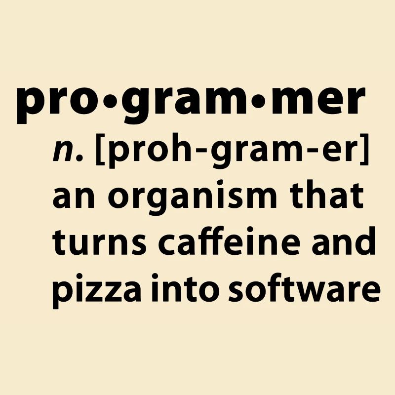 Programmer dictionary definition