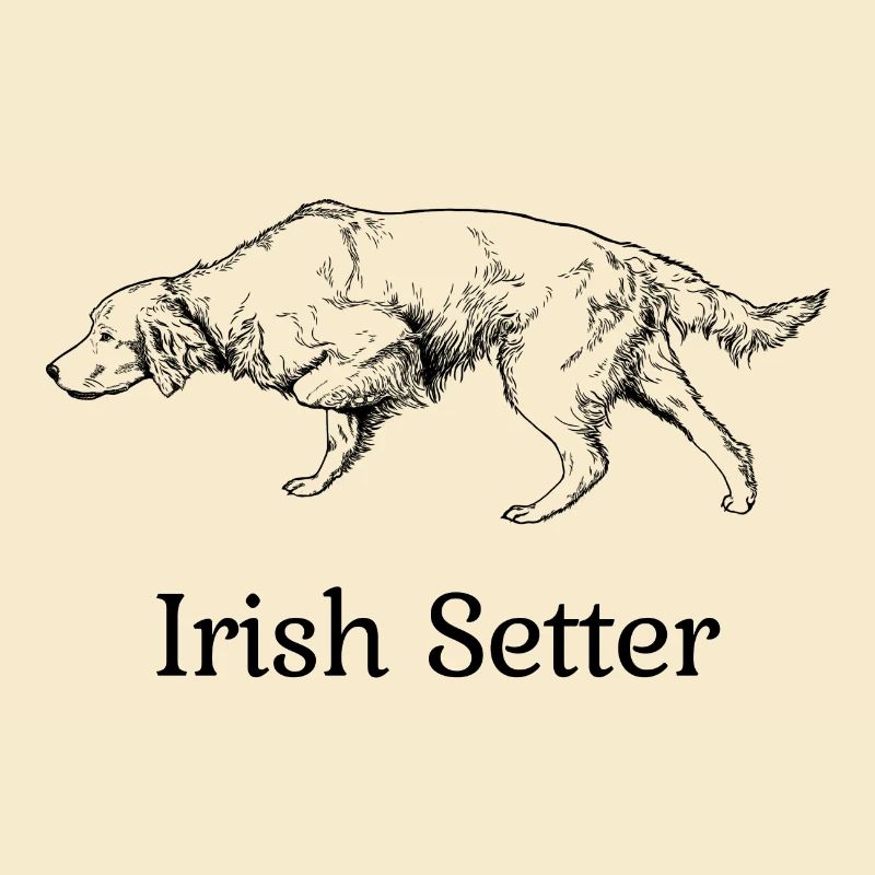 Irish Setter above