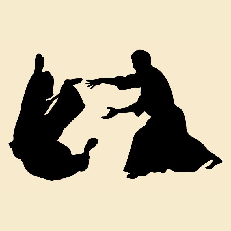 Aikido throw