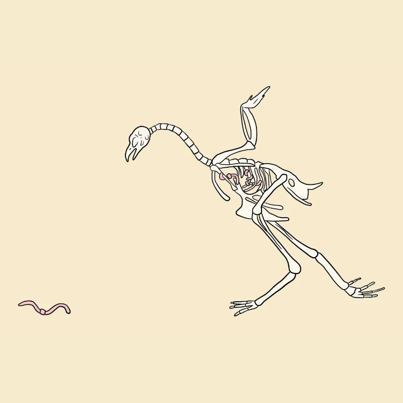 Skeleton Hen
