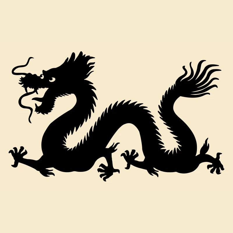 Image d’ombre de dragon année du dragon