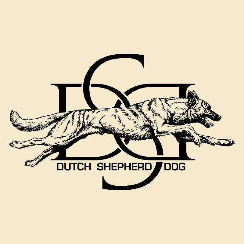 Dutchie - Holländischer Schäferhund