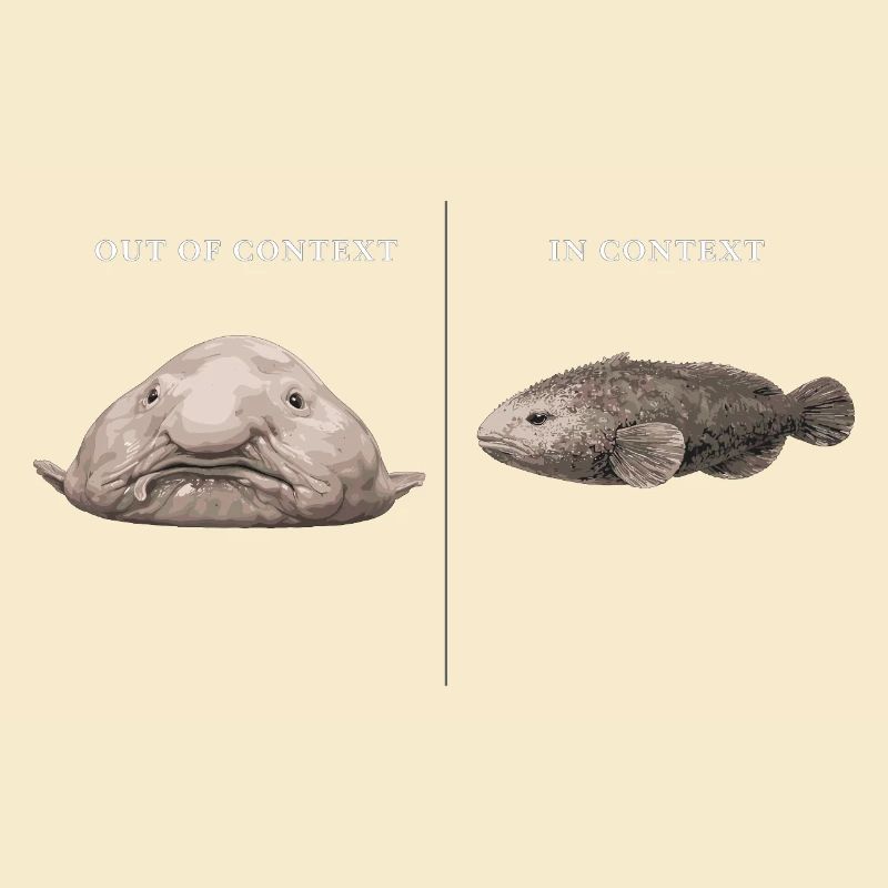 Blobfish hors contexte vs comparaison dans le contexte