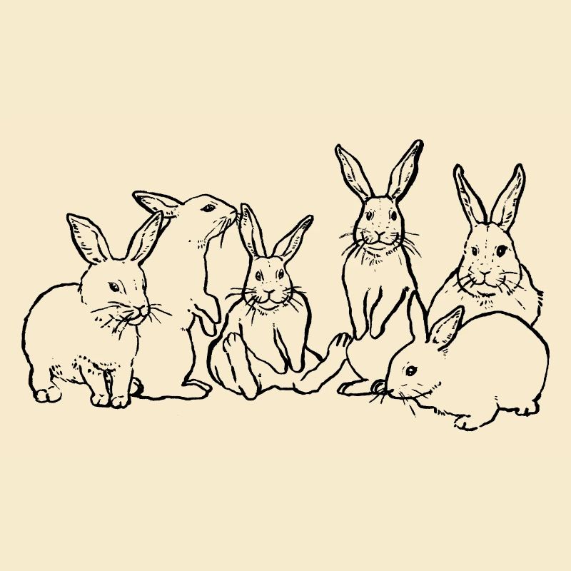 BANDE DE LAPINS