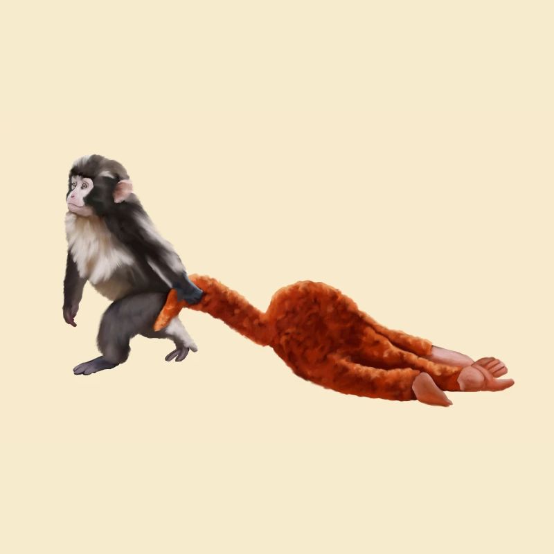 Punch - le petit singe