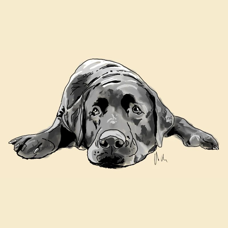 Labrador