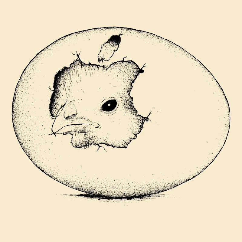 Hatchling