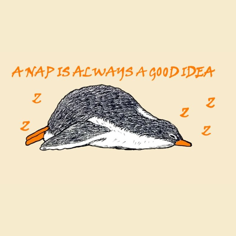 A nap is always a good idea