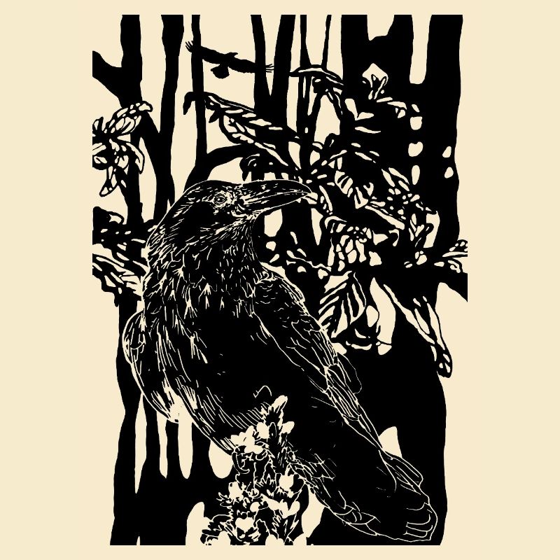 corbeau