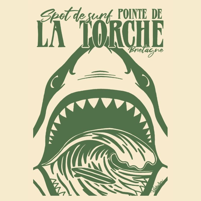 La Torche Surf Requin Bretagne
