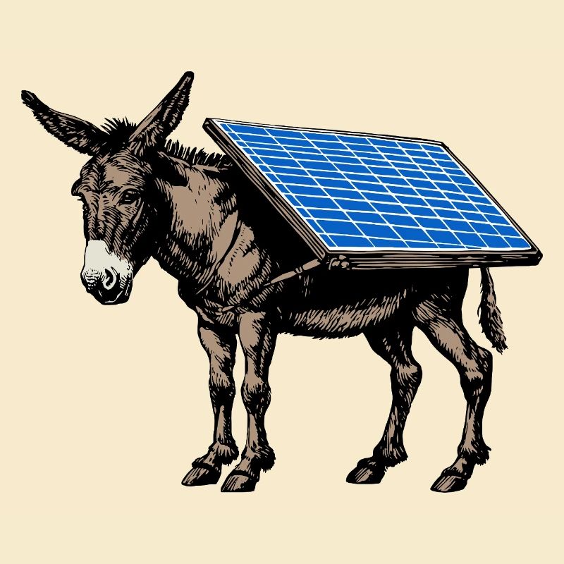 Solar - Donkey - Pack Animal, Pack Donkey, Solar Panel