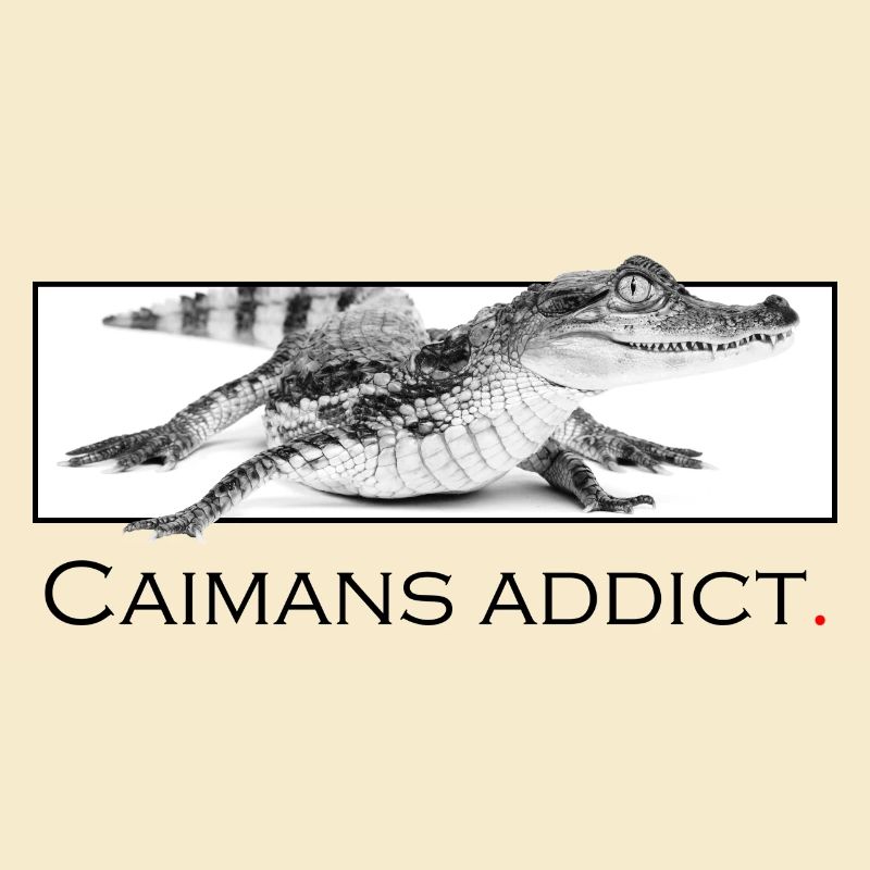 Caimans addict