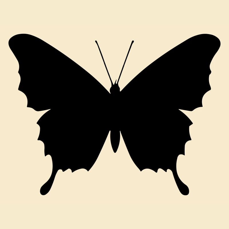 Petit papillon