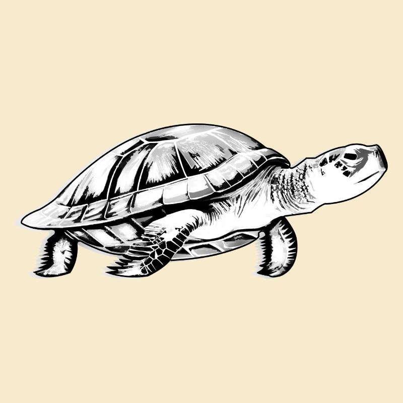 Turtle in black and white