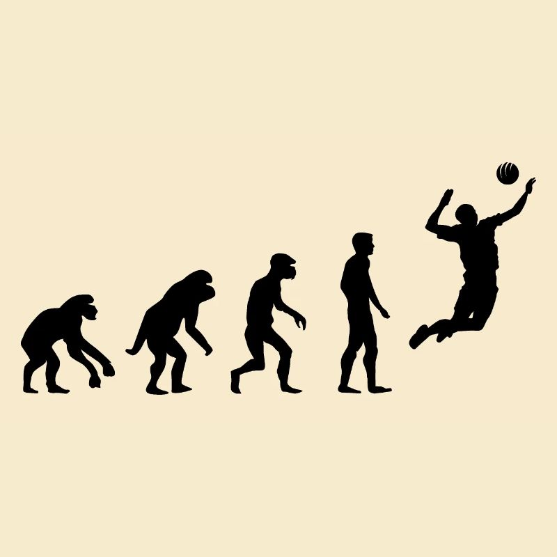 Retro volleyball Evolution Icône du beach-volley