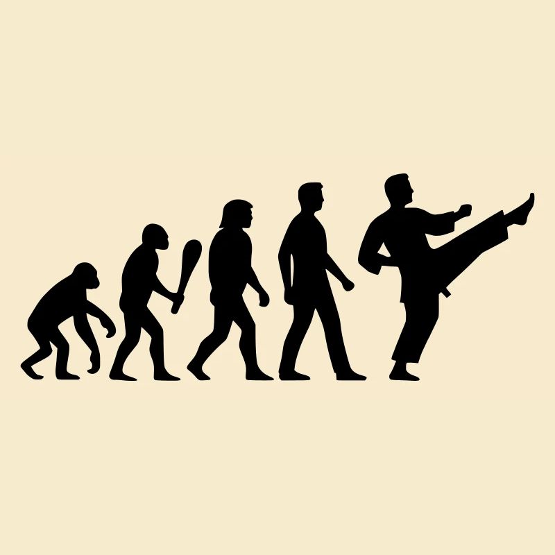 Karate Evolution