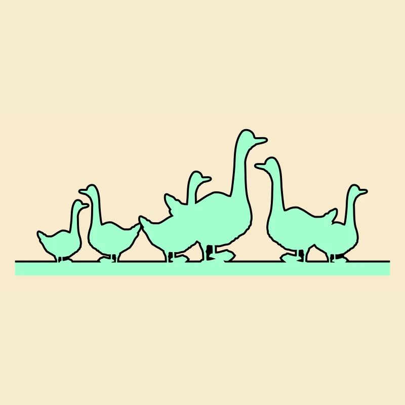 Ducks Geese