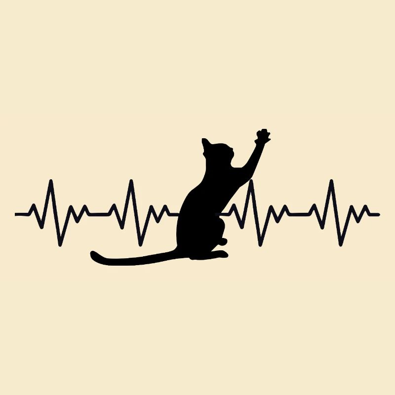 Katze EKG Herzfrequenz Herzschlag