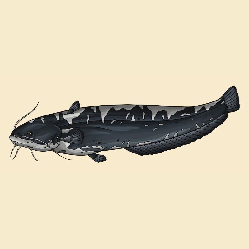 Conception européenne de la pêche au Silurus