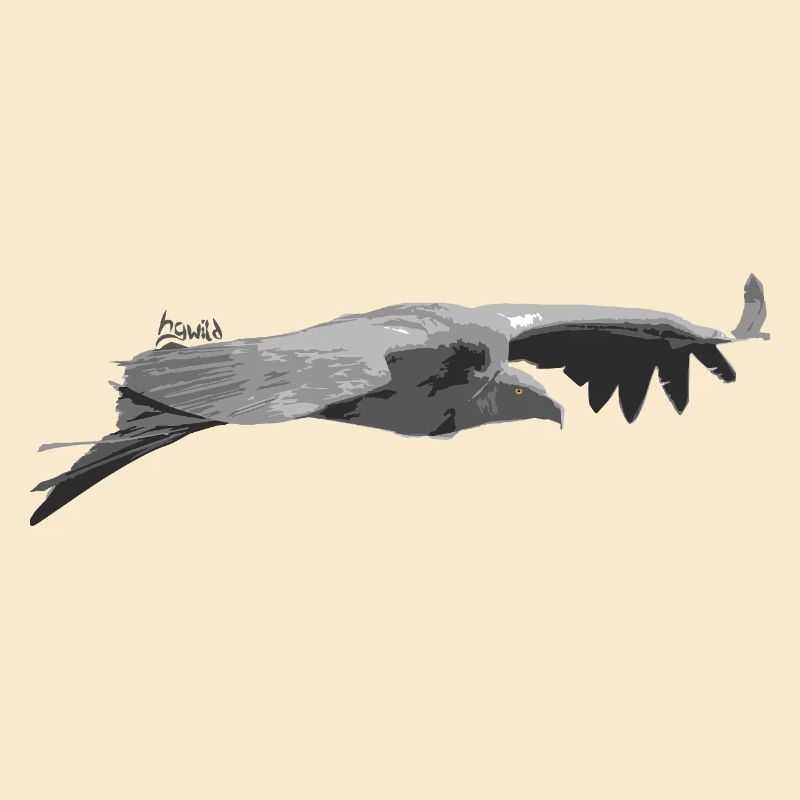 Griffon Vulture Silhouette