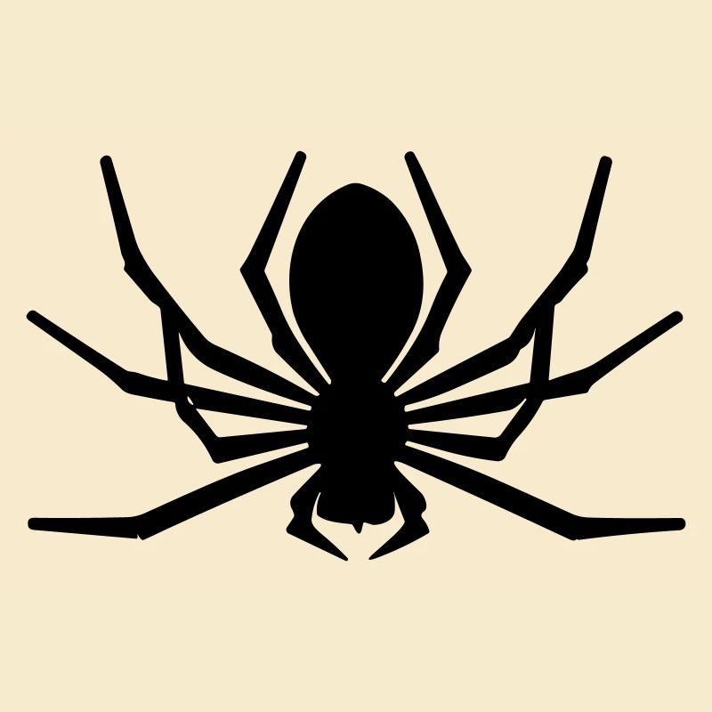 Spinne