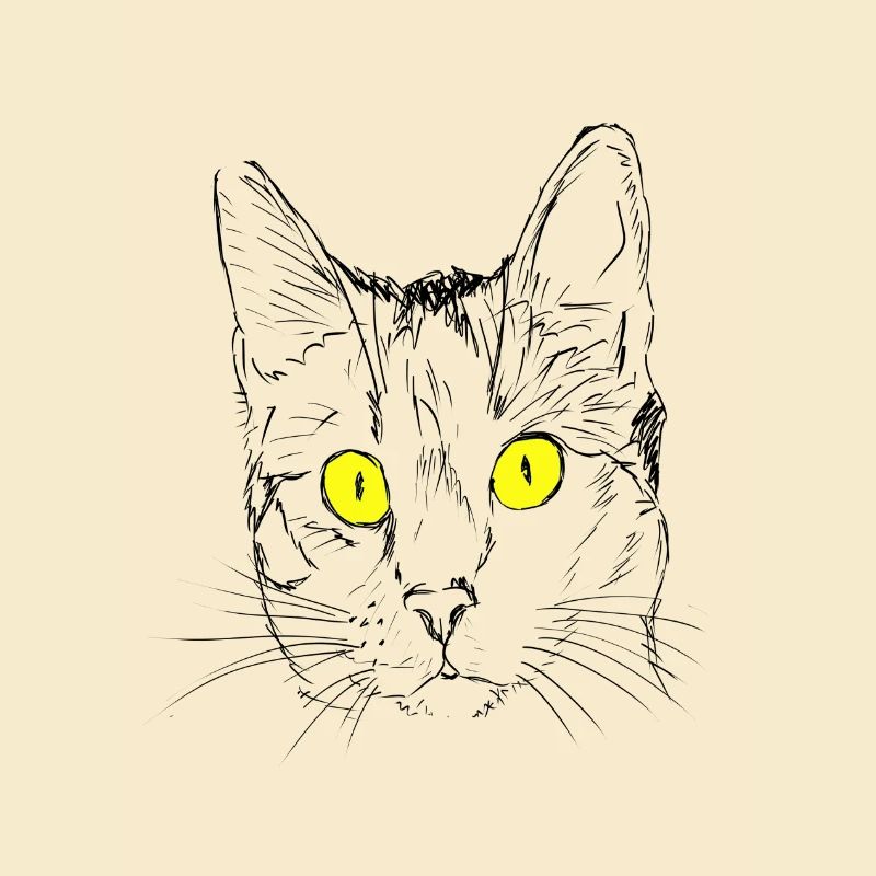 Chat, gueule de bois, amant de chat, tête de chat, oeil de chat