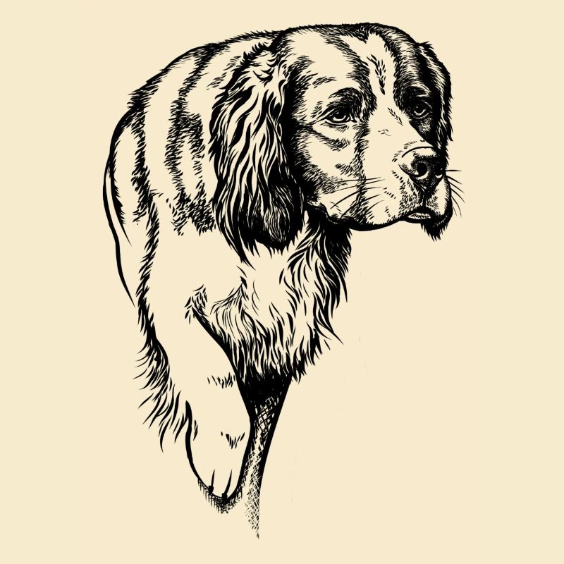 IRW Setter above