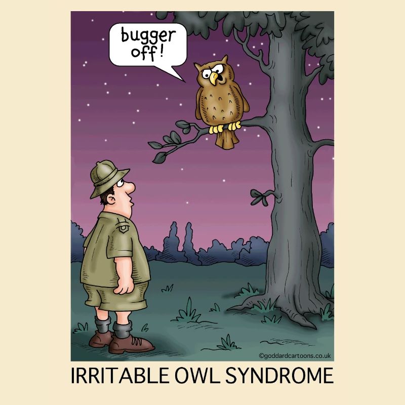 Syndrome de la chouette irritable