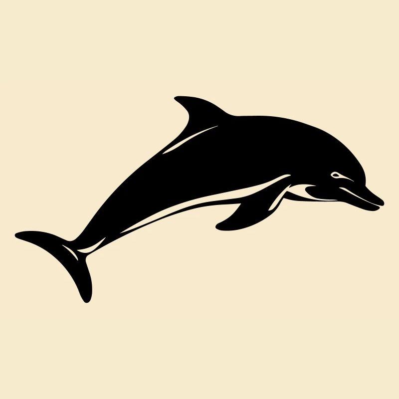 Baby dolphin