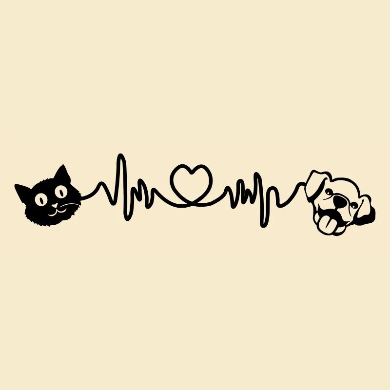 Cardio coup dur chien et chat animaux de compagnie