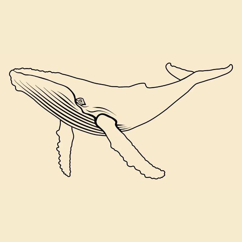 Wal - Buckelwal - Meeressäuger - Geschenk