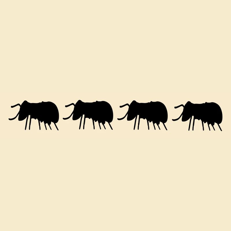 Beetles Bugs