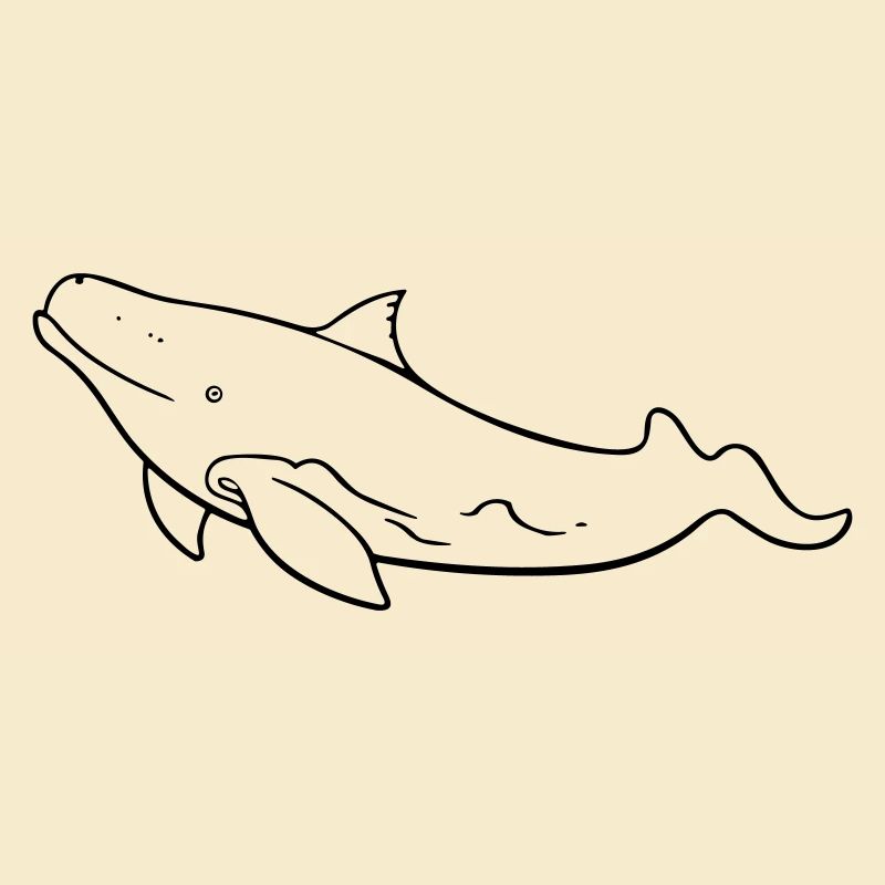 Whale